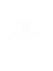 Santisima Tarot